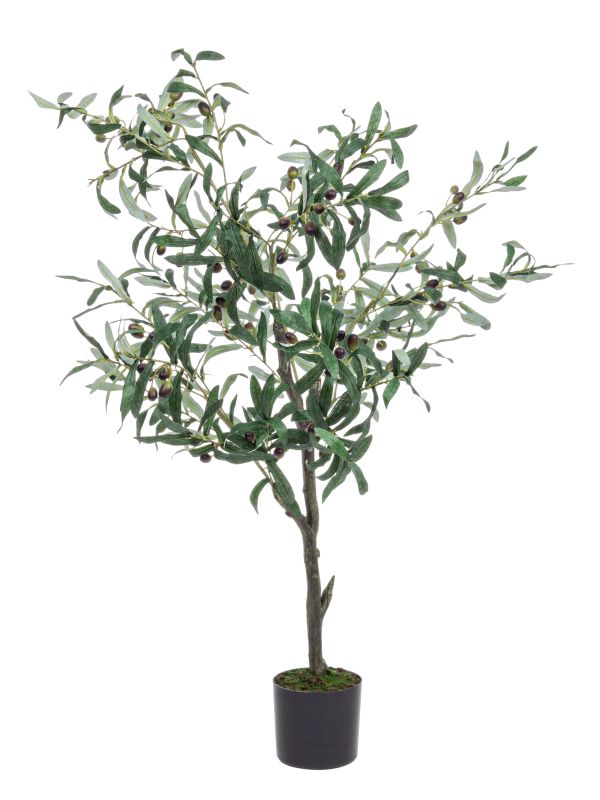 VESTACKO DRVO MASLINA H120CM